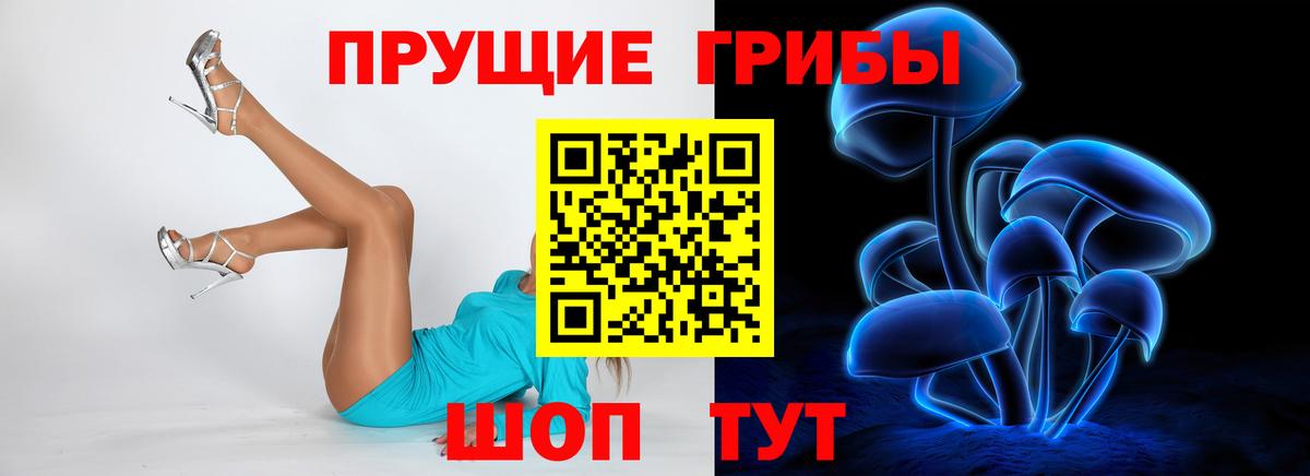 Ковров  Галлюциногенные грибы GOLDEN TEACHER  Вход с VPN 